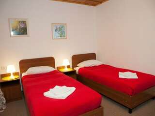 Гостиница Сказка Димитровград Бюджетный двухместный номер с 2 отдельными кроватями-4